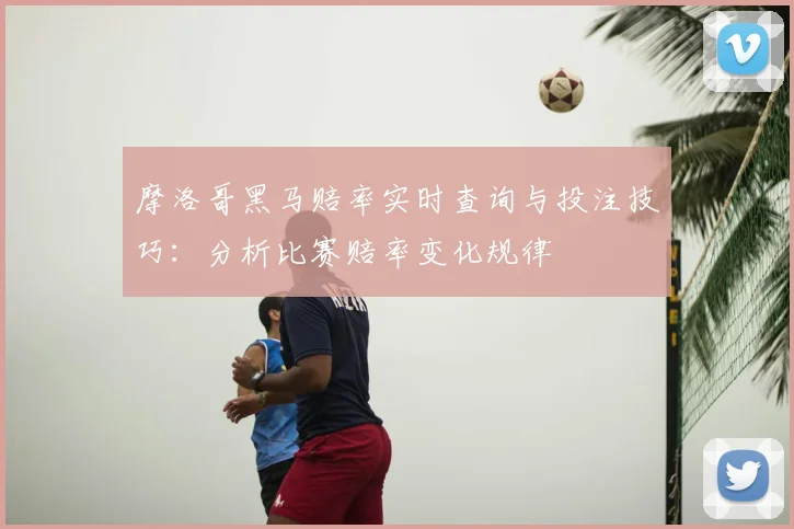 摩洛哥黑马赔率实时查询与投注技巧：分析比赛赔率变化规律