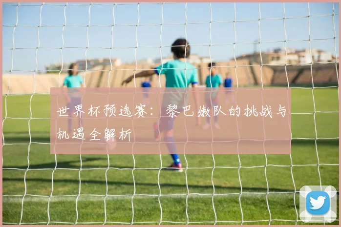 世界杯预选赛：黎巴嫩队的挑战与机遇全解析
